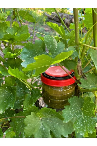 Tokat Salamura Asma Yaprağı 3 Kg.