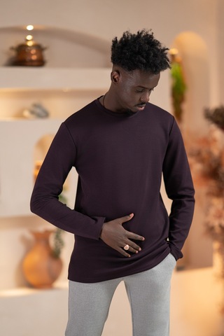 Paul Martin Modal Esnek Kumaş Regular Fit Mevsimlik Sweatshirt Mor