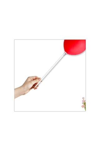 Balon Çubuğu ve Takma Aparatı. Balon Hariç - 10 Set