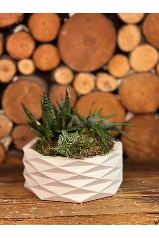 Geometrik Beyaz Dekoratif Saksı Modern Minimal Tasarım Bitki Dahil Değildir