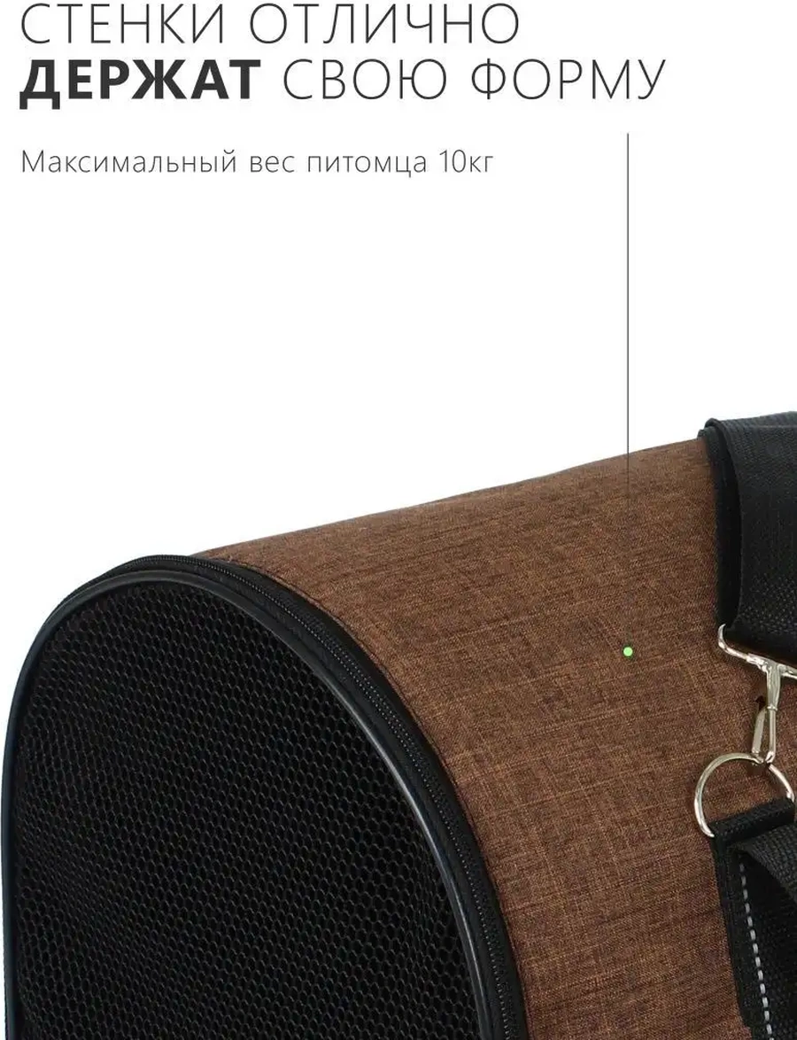 Rıch Breed S 39 25 26 Yumuşak Çerçeveli Taşıma Çantası 162314555