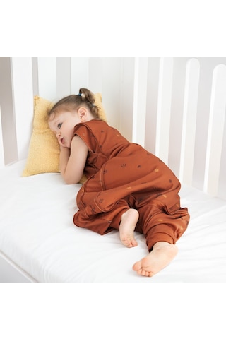 Owli Uyku Gurusu 1.5 Tog Charm Taba