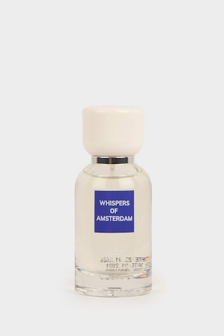Defacto Kadın Amber - Aromatic 100 Ml Parfüm G5850axnsbe106 Amber