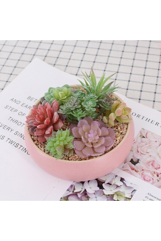 Xiyyadms Dıy Yapılandırılabilir Simülasyon Sukulent Bitki Seti - Bakım Gerektirmeyen Ev Dekorasyonu Duvar Yeşilliği