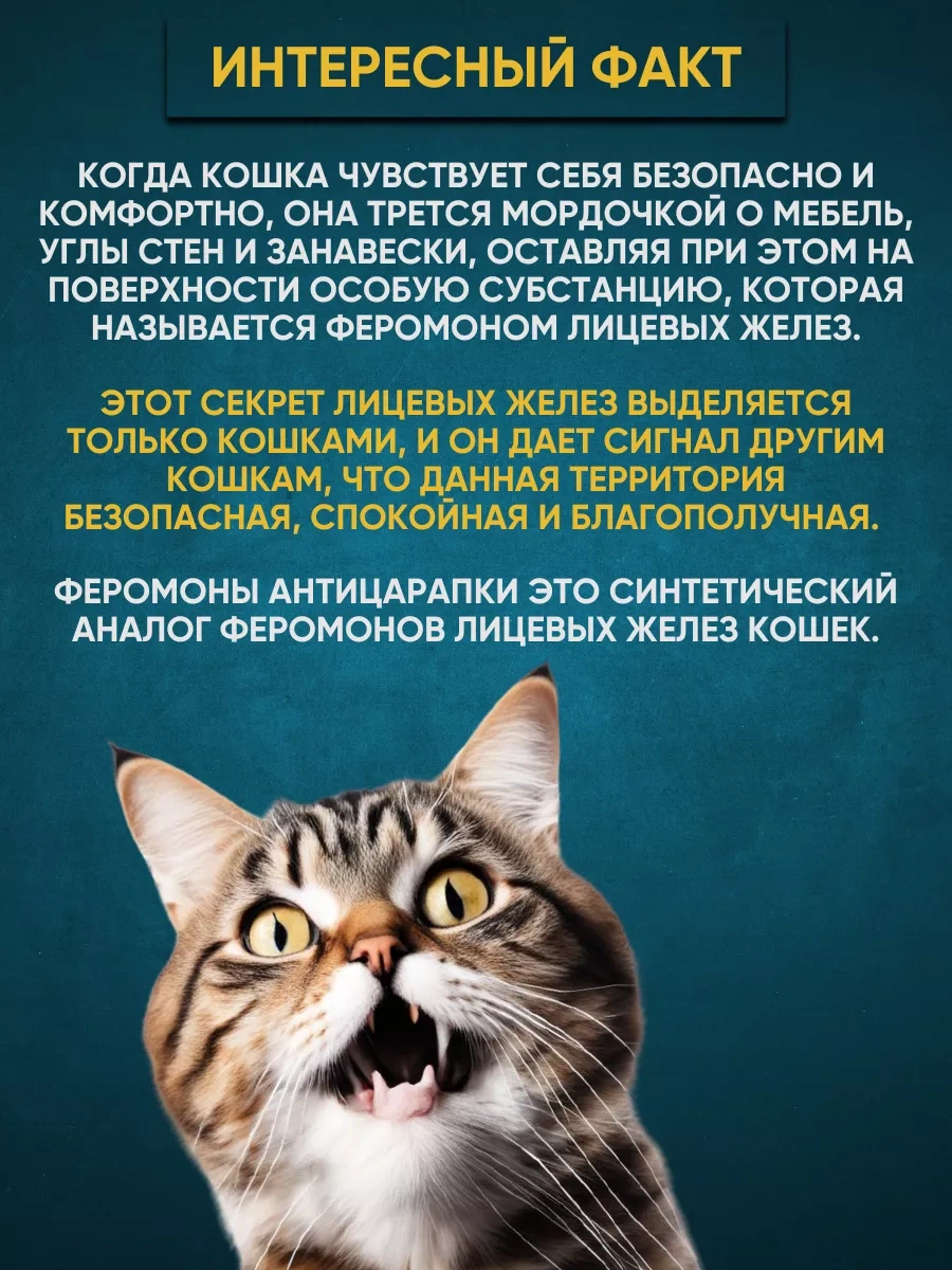 Anticarapki Kedilerin Stresle Başa Çıkması İçin Feromonlu Şifalı Takviye 8187854