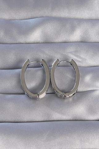 Pirinç Gümüş Renk Zirkon Taşlı Oval Model Küpe Altın