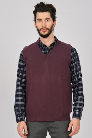 Arslanlı Erkek Lambswool V Yaka Süveter 0767991 Mürdüm-Mürdüm