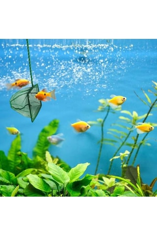 River World 7,5 Cm'lik Balık Kepçesi Akvaryum İçin