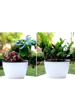 Kendinden Sulamalı Parlak Oval Akıllı Saksı Büyük Boy 29 X 14 X 15 Cm