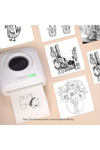 Padalink 10 Yıllık Koruma 57x30mm Yapışkan Termal Kağıt - Suya/yağa/sürtünmeye Dayanıklı, Bisfenol A Yok, Yüksek Renk Canlılığı, 5'li Paket