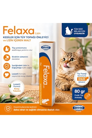 Biyoteknik Felaxa Lizin Oral Pat Malt 80 Gr