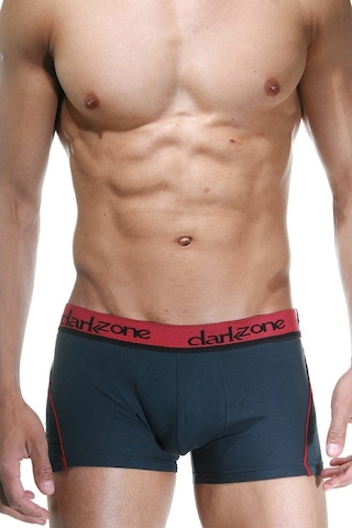 Darkzone Füme Erkek Boxer - Dzn3111