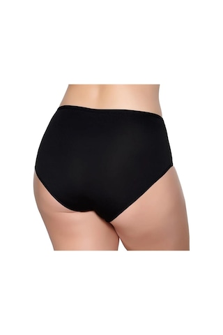 12 Adet Gümüş Bayan Renkli Likralı Bato Külot 3043 001