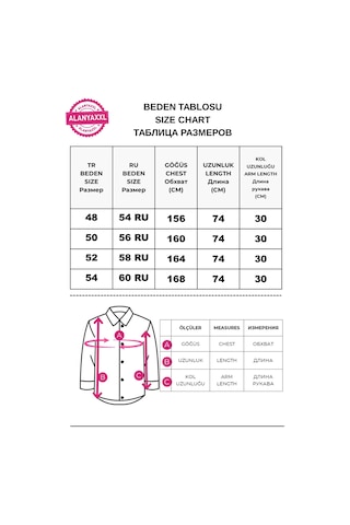 Büyük Beden Polo Yaka Metal Aksesuar Detaylı Rahat Kalıp Kadın Bluz Pembe