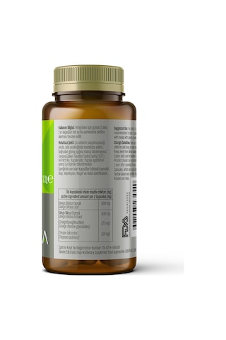 Talya Ginkgo Biloba Mabet Ağacı Yaprağı ve Ekstraktı İçeren Takviye Edici Gıda 60 Kapsül