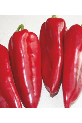 Arzuman Yağlık Salçalık Kırmızı Kapya Biber Tohumu 10 Gr
