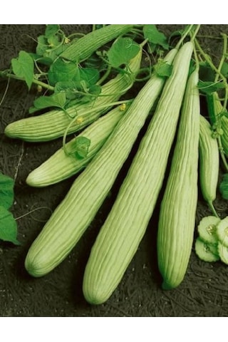 Arzuman Acur Tohumu 10 G