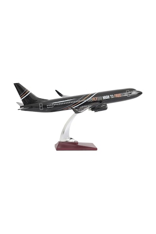 Zekupp Boeing /37-800 1/100 Ölçek FHTF 2 Sloganlı Model Uçak