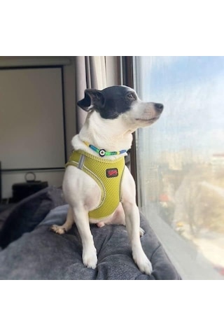 Tailpetz Air-mesh Köpek Göğüs Tasması Olive, 3xs Genel