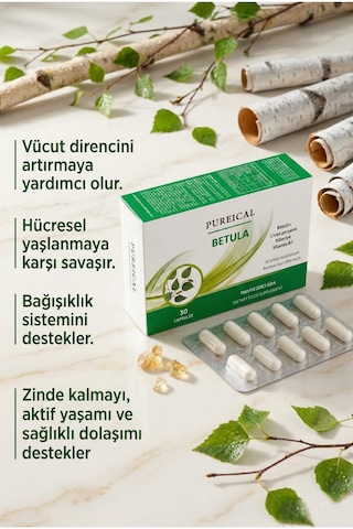 Pureıcal Betula Huş Ağacı Özü Betulin Civan Perçemi Biberiye B1 Vitamini 30 Kapsül