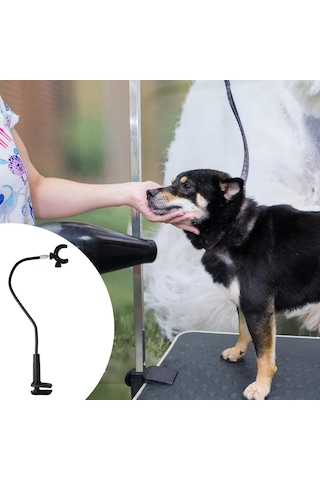 Suntek Evcil Hayvan Saç Kurutma Makinesi Standı Kedi Bakım