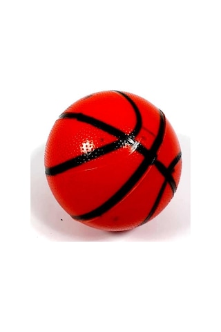 Büyük Boy Fileli Basketbol Potası ve Topu 45x35cm Pota Sportif Oy