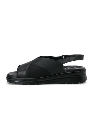 Polaris 105915.z Siyah Kadın Düz Sandalet 000000000102719447