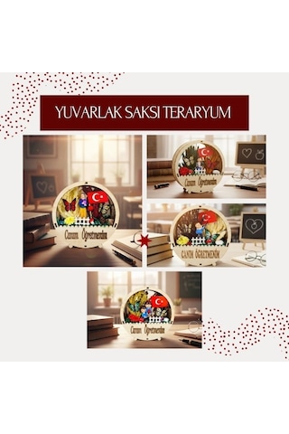 Premium Ofis Dekoru Dekoratif Obje Hatıra Eşyası Yuvarlak Saksı Teraryum - Öğretmenler Günü Hediyesi Çok Renkli