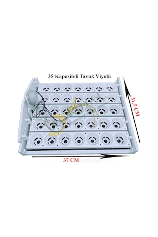 35'lik Otomatik Kuluçka Gelişim Viyolü 1/2.5 Rpm 4 Watt