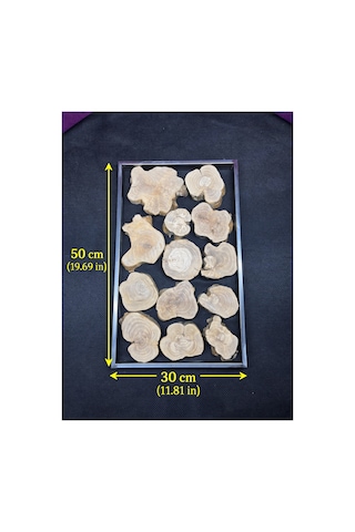 Zeytin Ağacı Parçalı Metal Çerçeve 30x50 Cm Epoksi Reçine İçin Doğal Ahşap Dilim Seti
