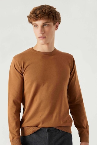 D's Damat Regular Fit Camel Tüylenme Yapmayan Bisiklet Yaka Triko Kazak Camel