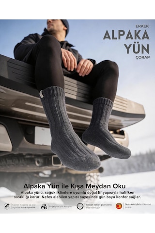 Bolero Nordsox E31 Erkek Alpaka Yün Soket Çorap 41-45 Antrasit