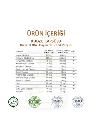 Gökçek Şifa Kudzu 60 Kapsül
