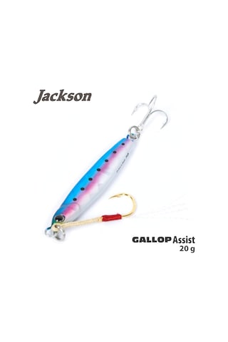 Jackson Gallop Assist 20Gr Jig Yem
