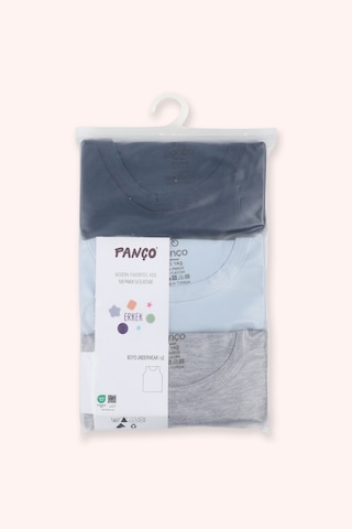 Panço Erkek Çocuk Basic 3'lü Atlet Seti Çok Renkli