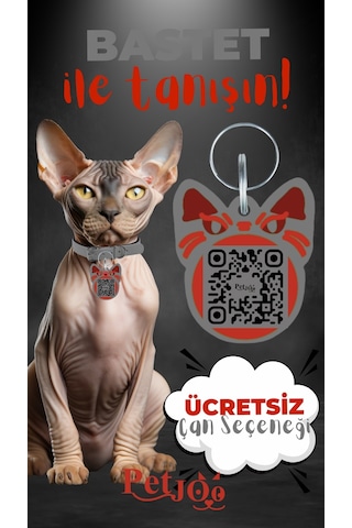 Petjoo 1.Bastet Kırmızı-Gri Qr'lı Kedi Künyesi