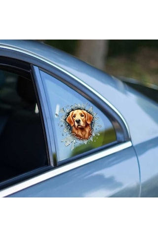 Fulcar Golden Araç Stickerı Standart