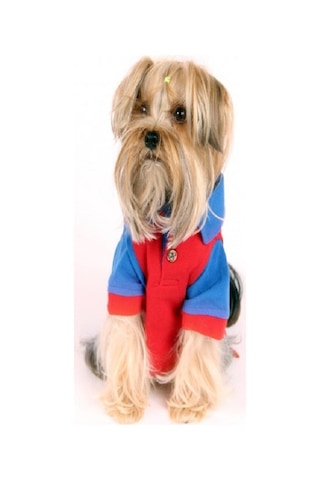 Maxstylespet Lacoste Kedi Köpek Tshirt