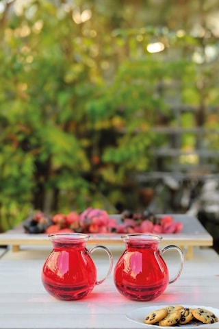 Perotti Keyfi Ala Borosilikat 6'lı Çay Bardağı