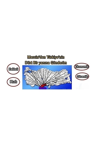 Kare Fan 150X150X50 220V Kuluçka Makinesine 35W - 539870670