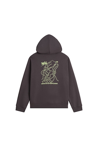 The North Face U Nse Slopes Relaxed Hoodıe - Graphıc Unisex Outdoor Sweatshirts Nf0a8ja7rhı1 Gri