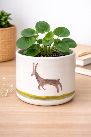 El Yapımı Seramiktasarım Saksı - 8x8 Cm Bitkisiz Cogo Ceramic 10x8cm