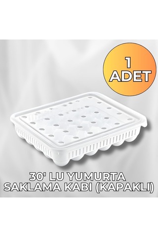 Yumurta Saklama Kabı 30'lu 1 Adet, Steril Yumurtalık, Kapaklı Yumurta Organizeri Çok Renkli
