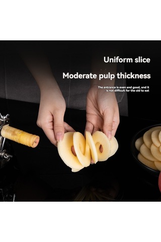 Springsun El Fırçası El Çekirdekleyici El Dilimleyici 3'ü 1, Vakum Emici Tabanlı, Paslanmaz Çelik, El İle Çalışır, Meyve Sebze Soyma Aleti Gümüş