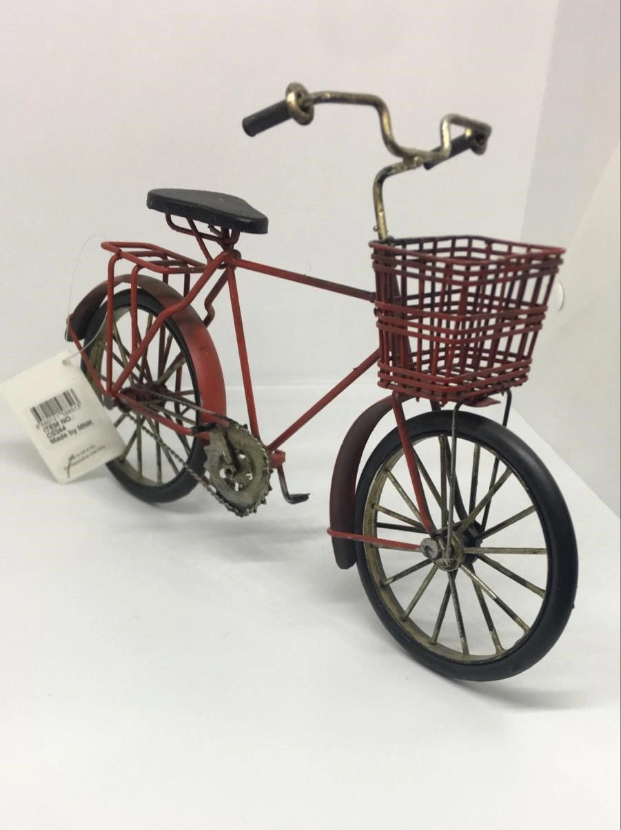 Lebron Dekoratif Metal Bisiklet