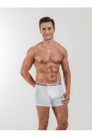 Pierre Cardin Erkek Boxer Modal 330