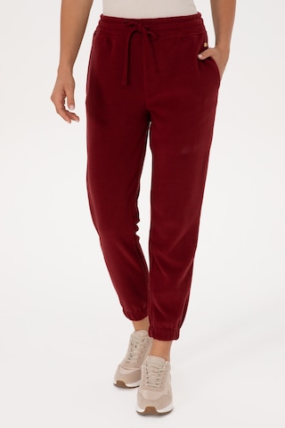 U.S. Polo Assn. Kadın Bordo Polar Jogger Eşofman Altı 50318758-VR014