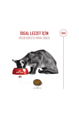 Royal Canin Exigent Savour Seçici Kediler İçin Yetişkin Kedi Maması 2 KG