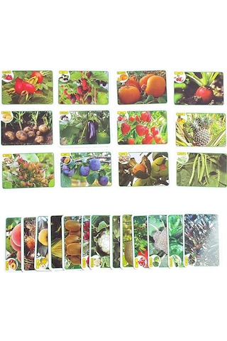 Diytoy İlk 50 Meyve Sebze Zeka Kartları Eğitici Kartlar