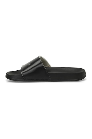U.s. Polo Assn.4m Sebaste 4fx Hologramlı Kadın Siyah Plaj Terliği A10168691212010-siyah Siyah